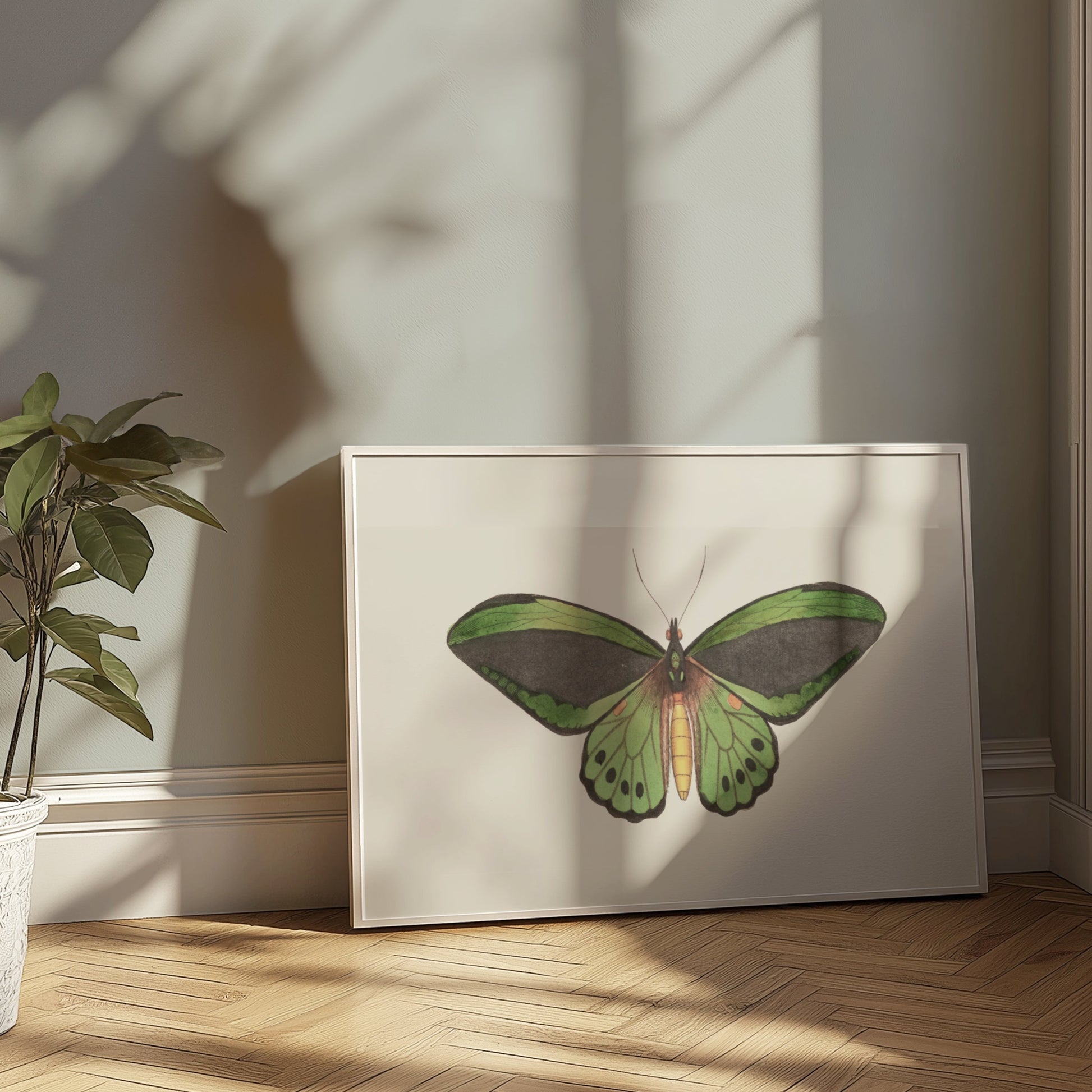 Premium Poster of Stunning Detailed Green Butterfly Illustration Posters
