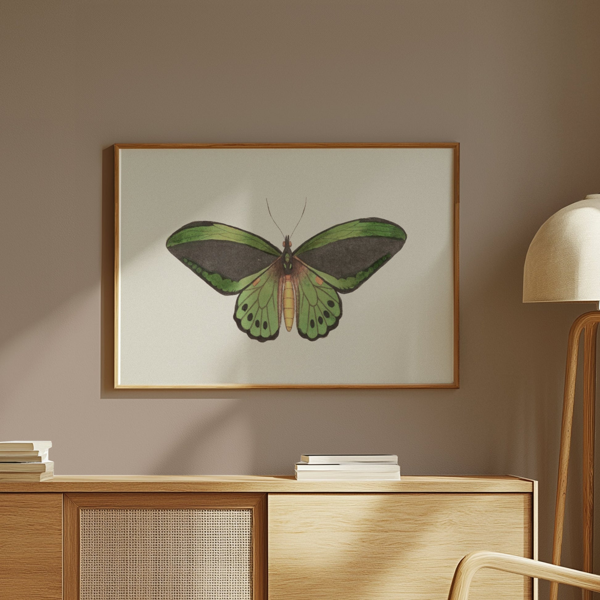 Premium Poster of Stunning Detailed Green Butterfly Illustration Posters
