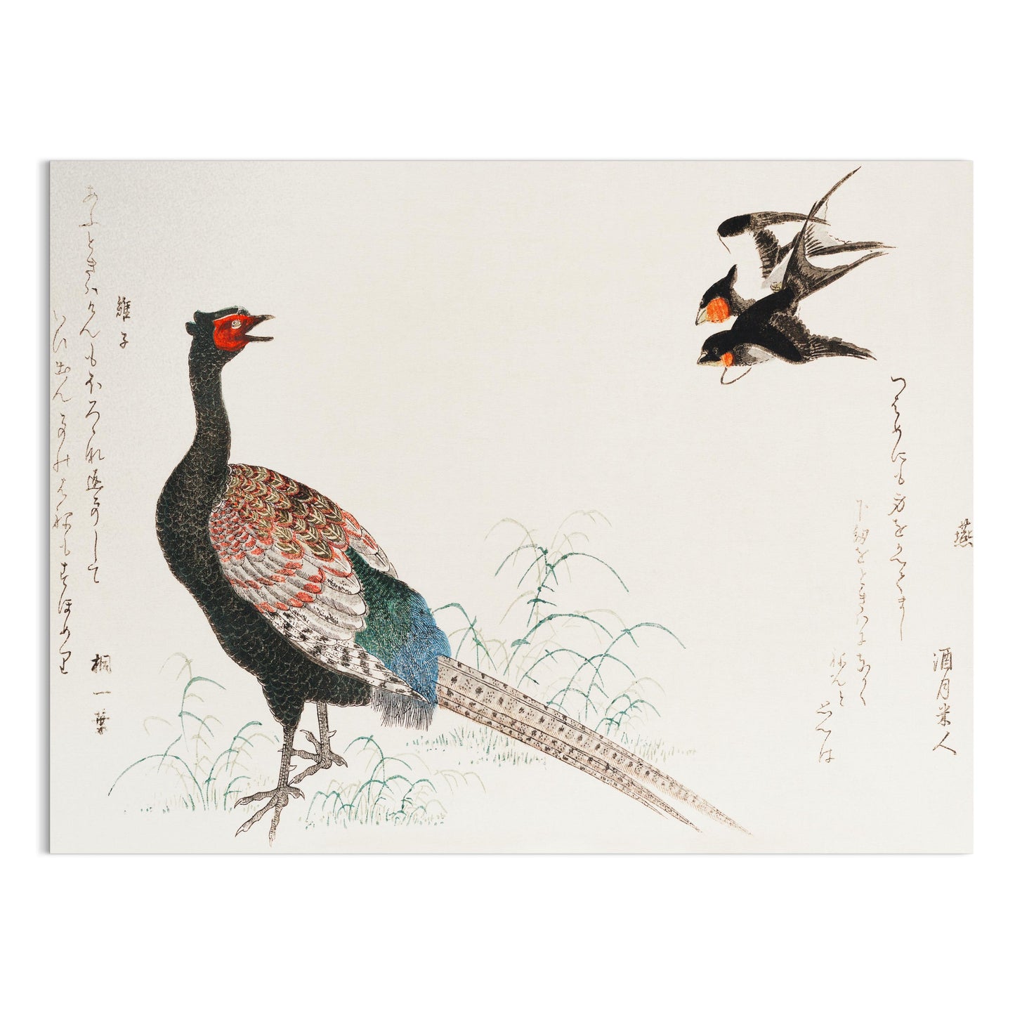 Premium Poster of Stunning Japanese Animal Artwork with Elegant Birds Posters