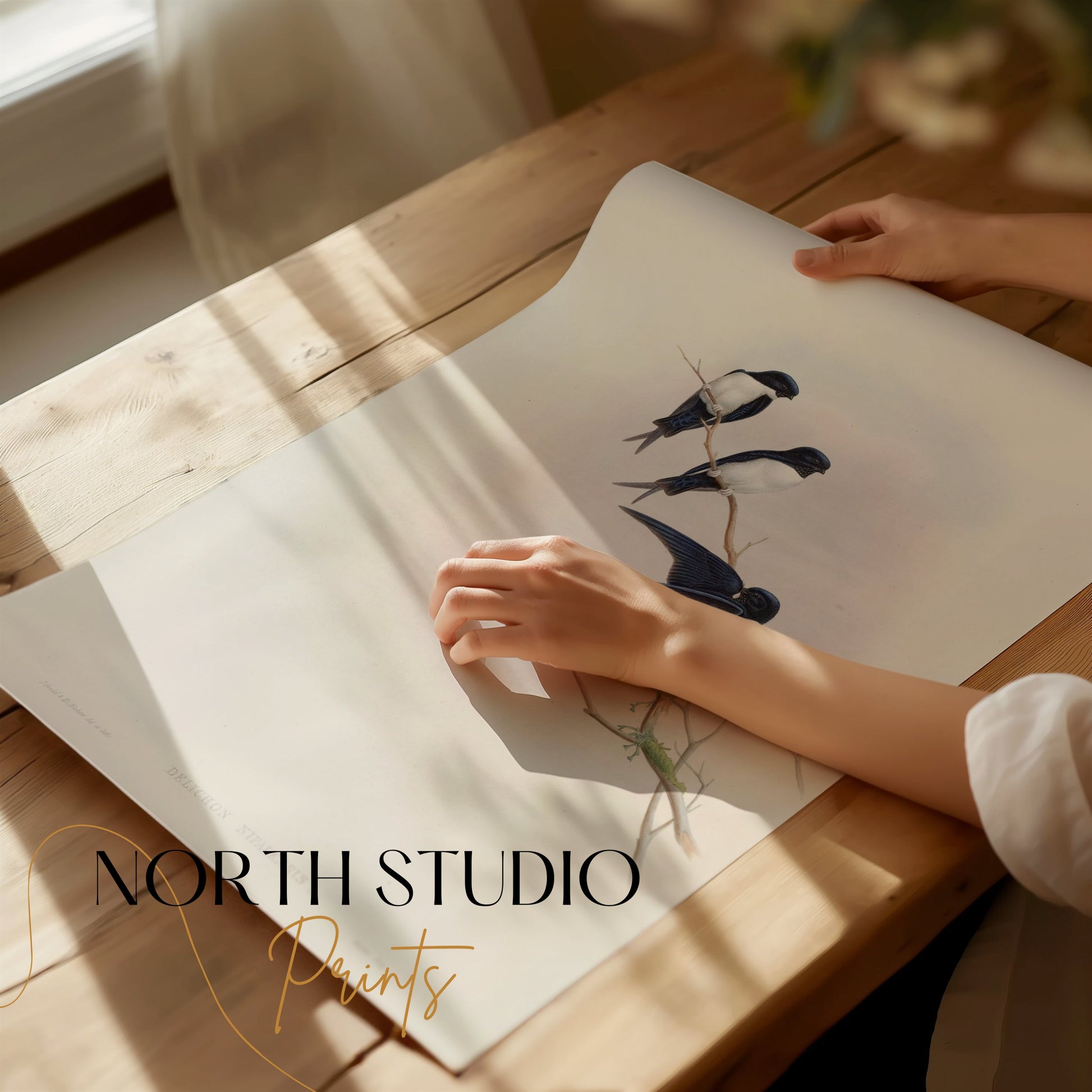 Premium Poster of Three Birds Perched on a Branch Nature Art Posters