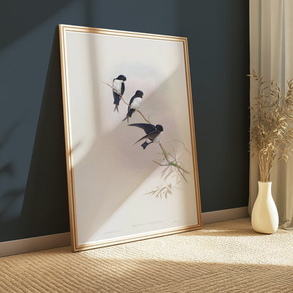 Premium Poster of Three Birds Perched on a Branch Nature Art Posters