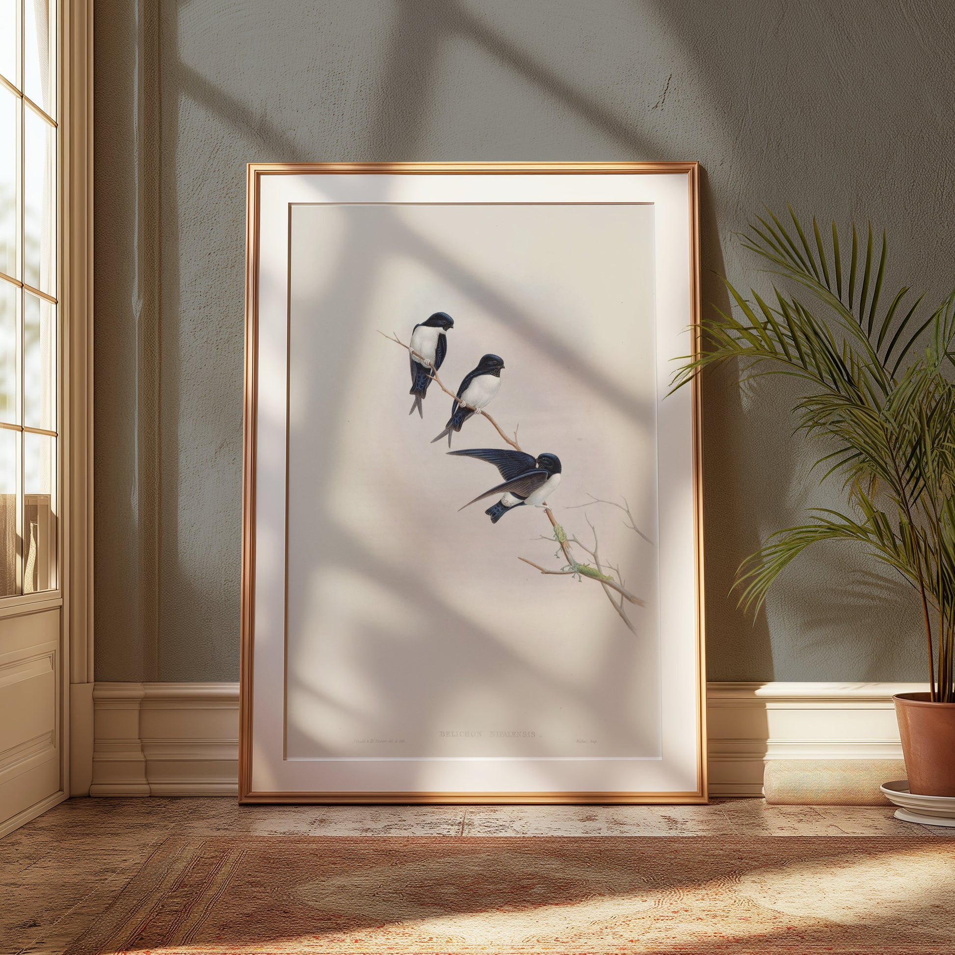 Premium Poster of Three Birds Perched on a Branch Nature Art Posters