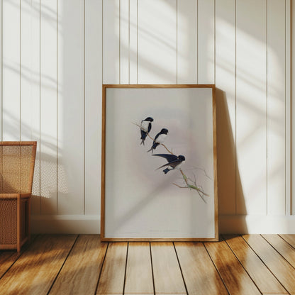 Premium Poster of Three Birds Perched on a Branch Nature Art Posters