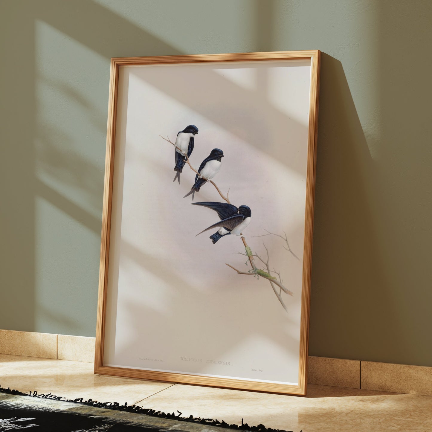 Premium Poster of Three Birds Perched on a Branch Nature Art Posters
