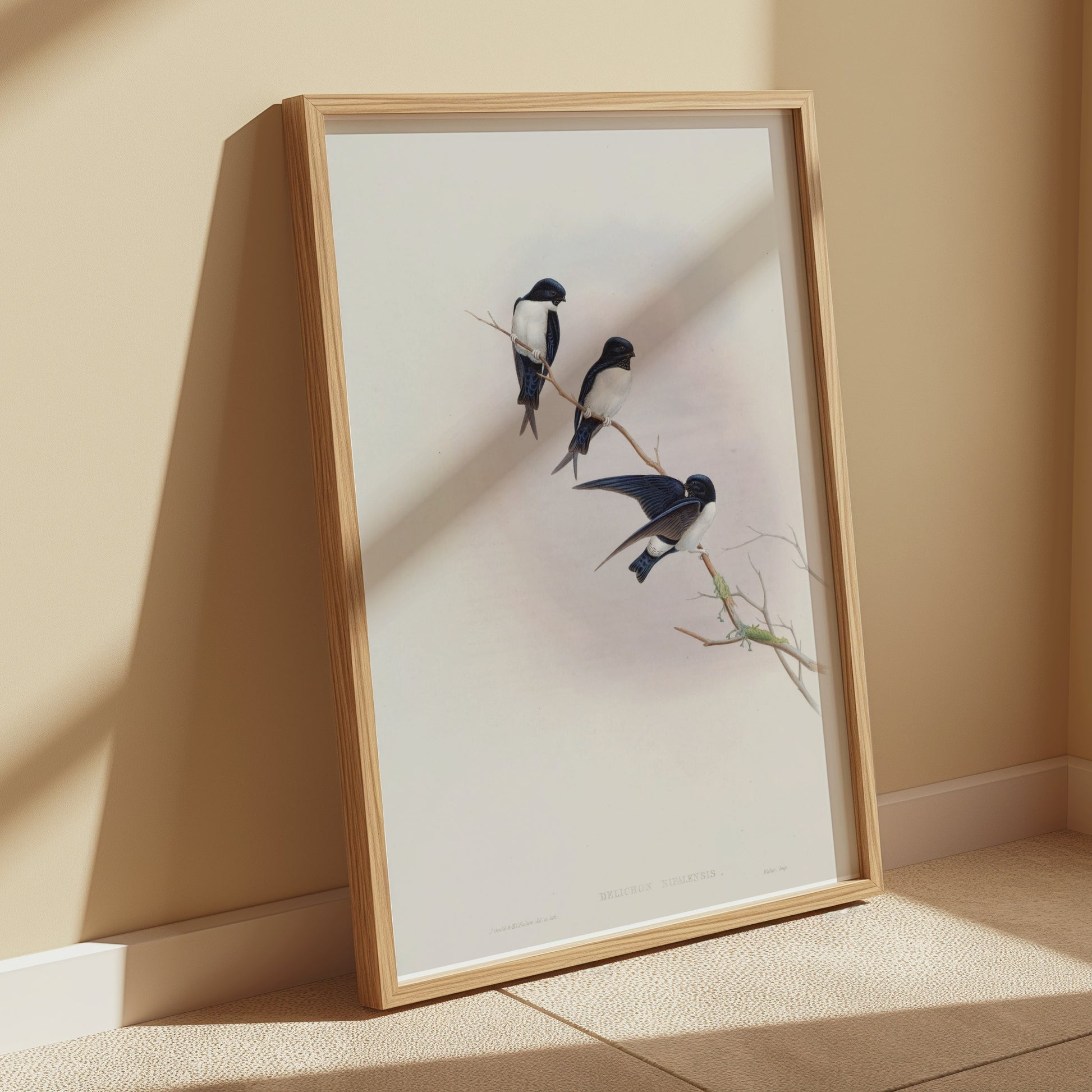 Premium Poster of Three Birds Perched on a Branch Nature Art Posters