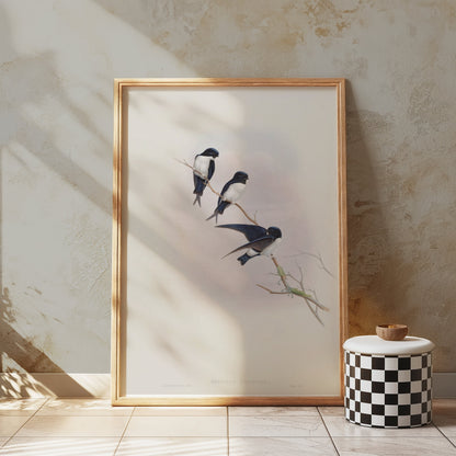 Premium Poster of Three Birds Perched on a Branch Nature Art Posters