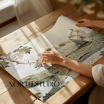 Premium Poster of Three Birds Resting on Tree Branch Vintage Art Posters