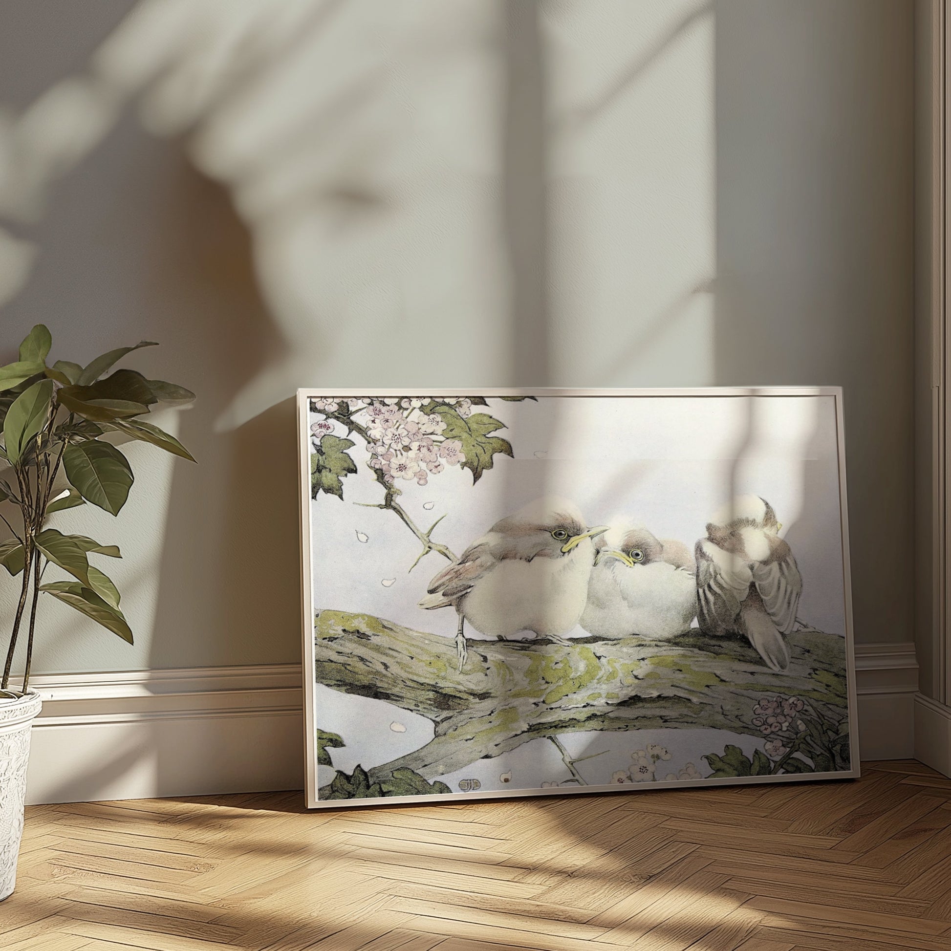 Premium Poster of Three Birds Resting on Tree Branch Vintage Art Posters