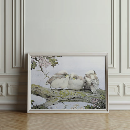 Premium Poster of Three Birds Resting on Tree Branch Vintage Art Posters