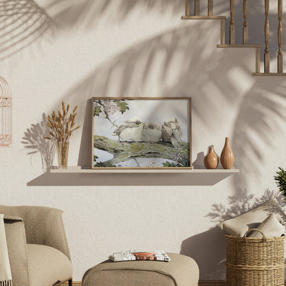 Premium Poster of Three Birds Resting on Tree Branch Vintage Art Posters