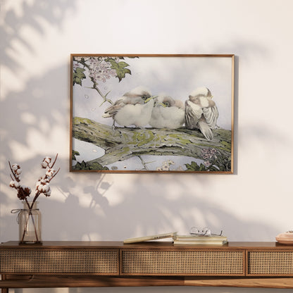 Premium Poster of Three Birds Resting on Tree Branch Vintage Art Posters