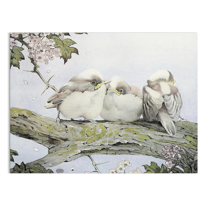 Premium Poster of Three Birds Resting on Tree Branch Vintage Art Posters