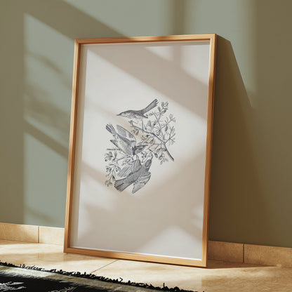 Premium Poster of Three Birds and Branches Sketch Art Posters