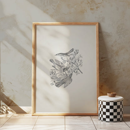 Premium Poster of Three Birds and Branches Sketch Art Posters