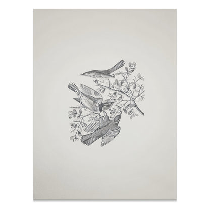Premium Poster of Three Birds and Branches Sketch Art Posters