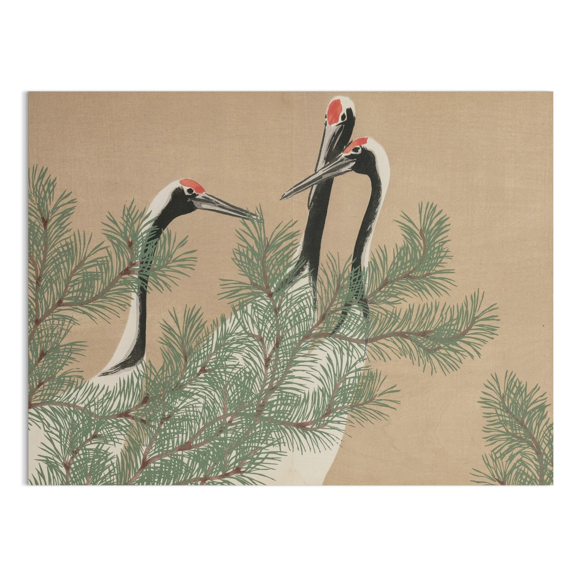 Premium Poster of Three Cranes Among Pine Branches Japanese Art Posters