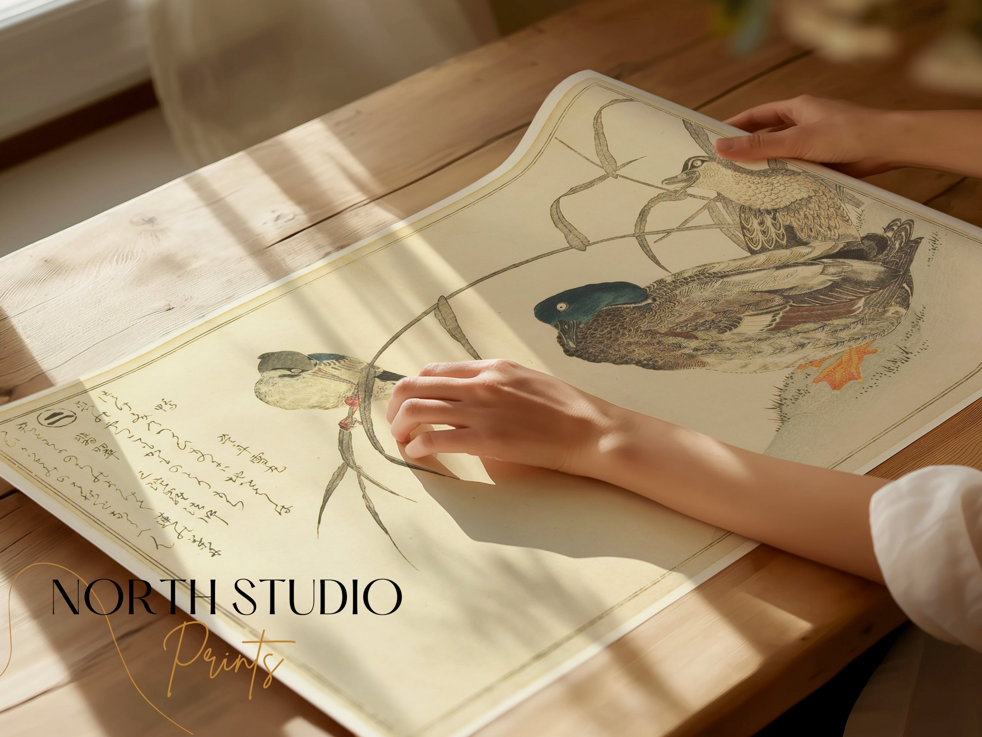 Premium Poster of Traditional Japanese Animal Art Prints Posters