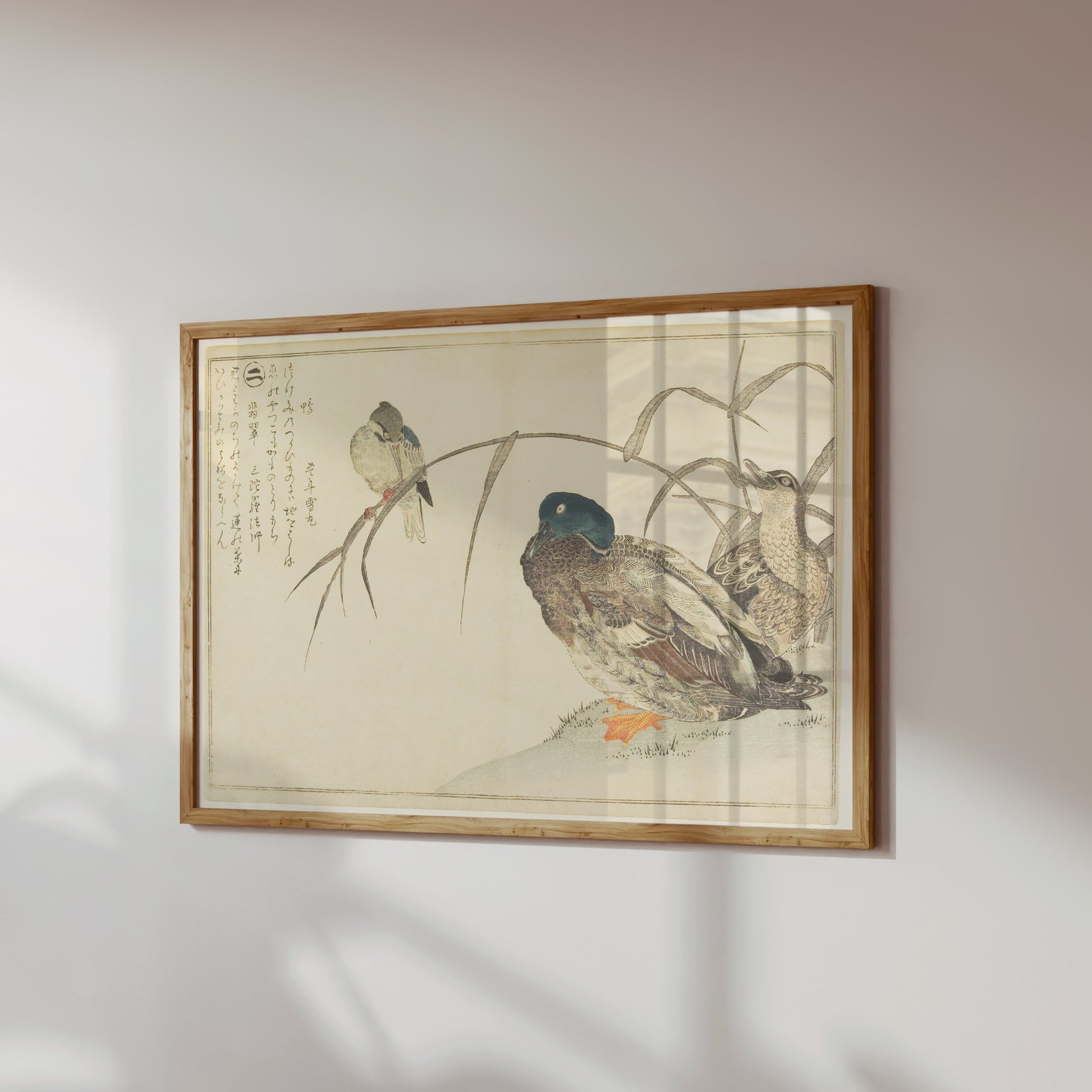 Premium Poster of Traditional Japanese Animal Art Prints Posters