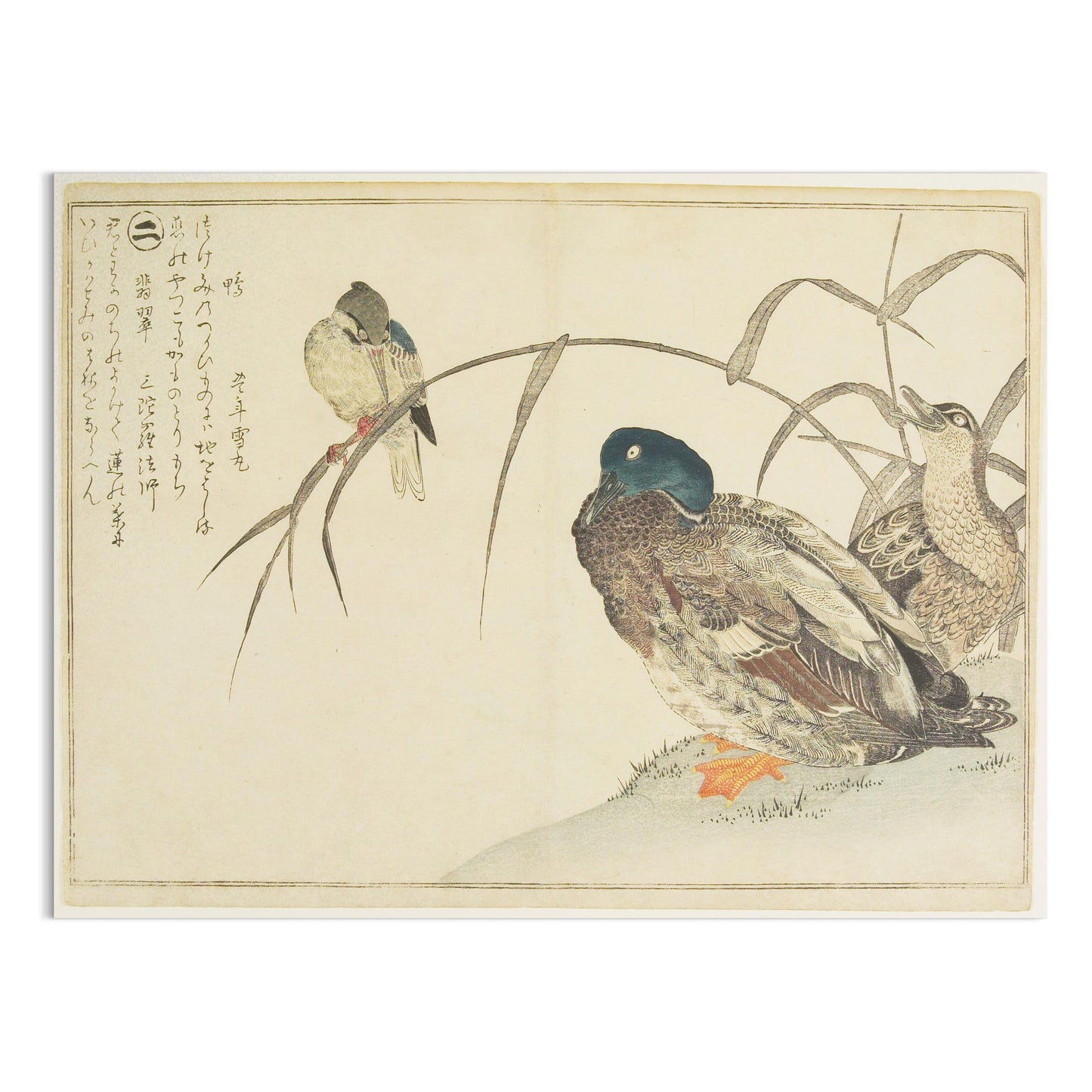 Premium Poster of Traditional Japanese Animal Art Prints Posters