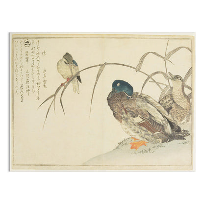 Premium Poster of Traditional Japanese Animal Art Prints Posters