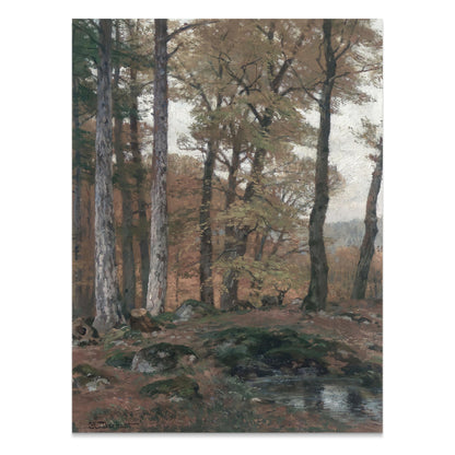 Premium Poster of Tranquil Autumn Forest Landscape with Stream Posters