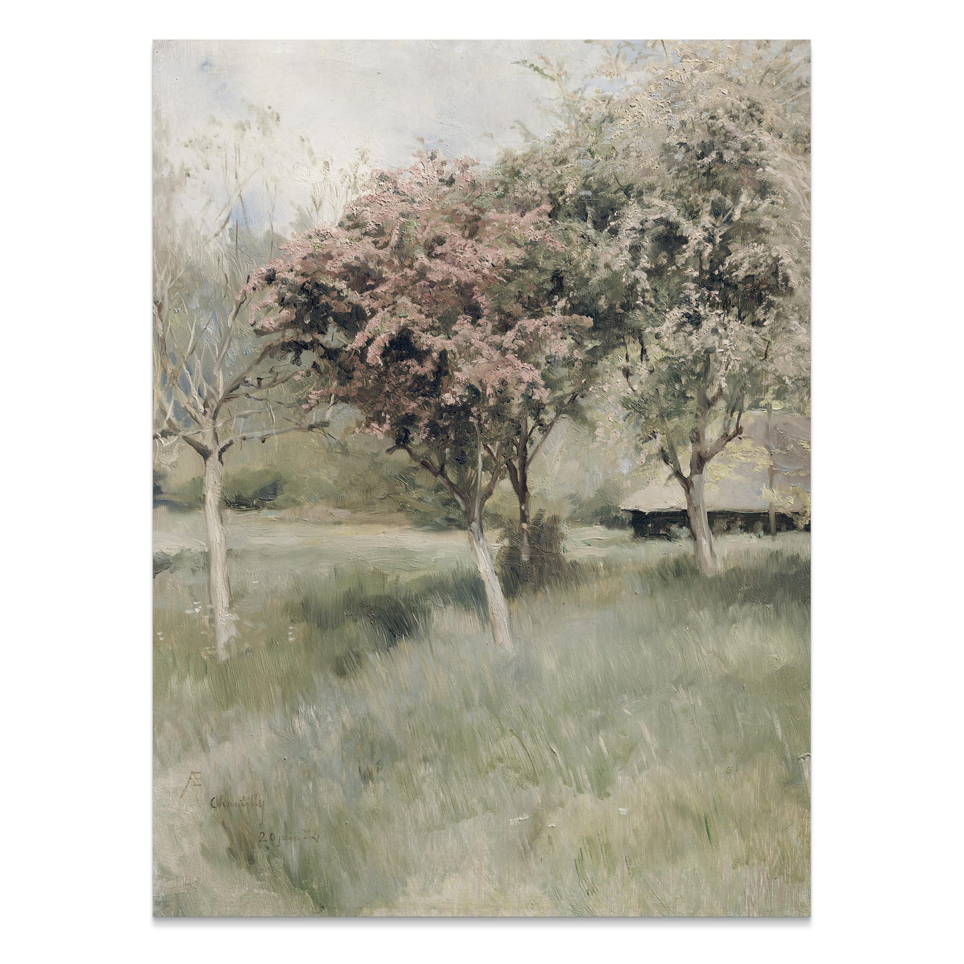 Premium Poster of Tranquil Landscape with Blossoming Trees Posters