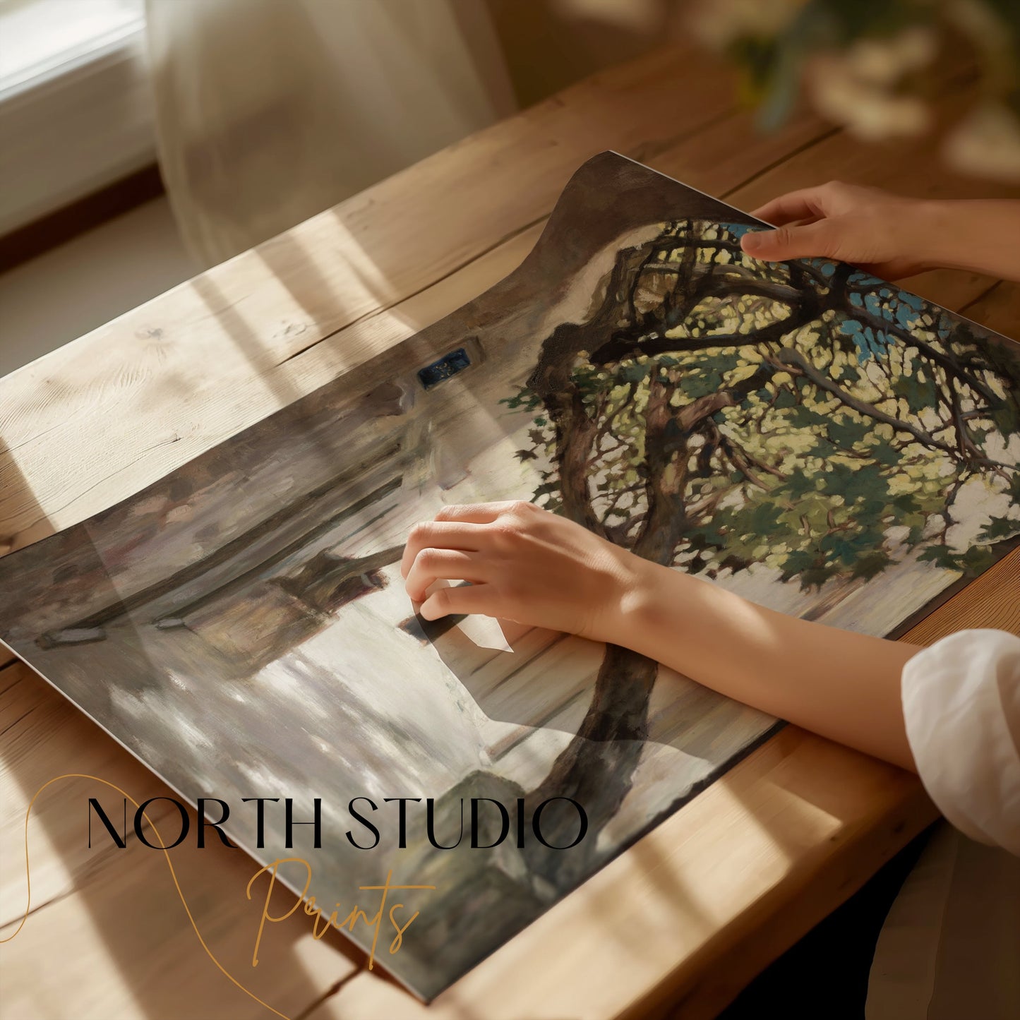 Premium Poster of Tranquil Sunlit Alleyway with Overhanging Tree Posters