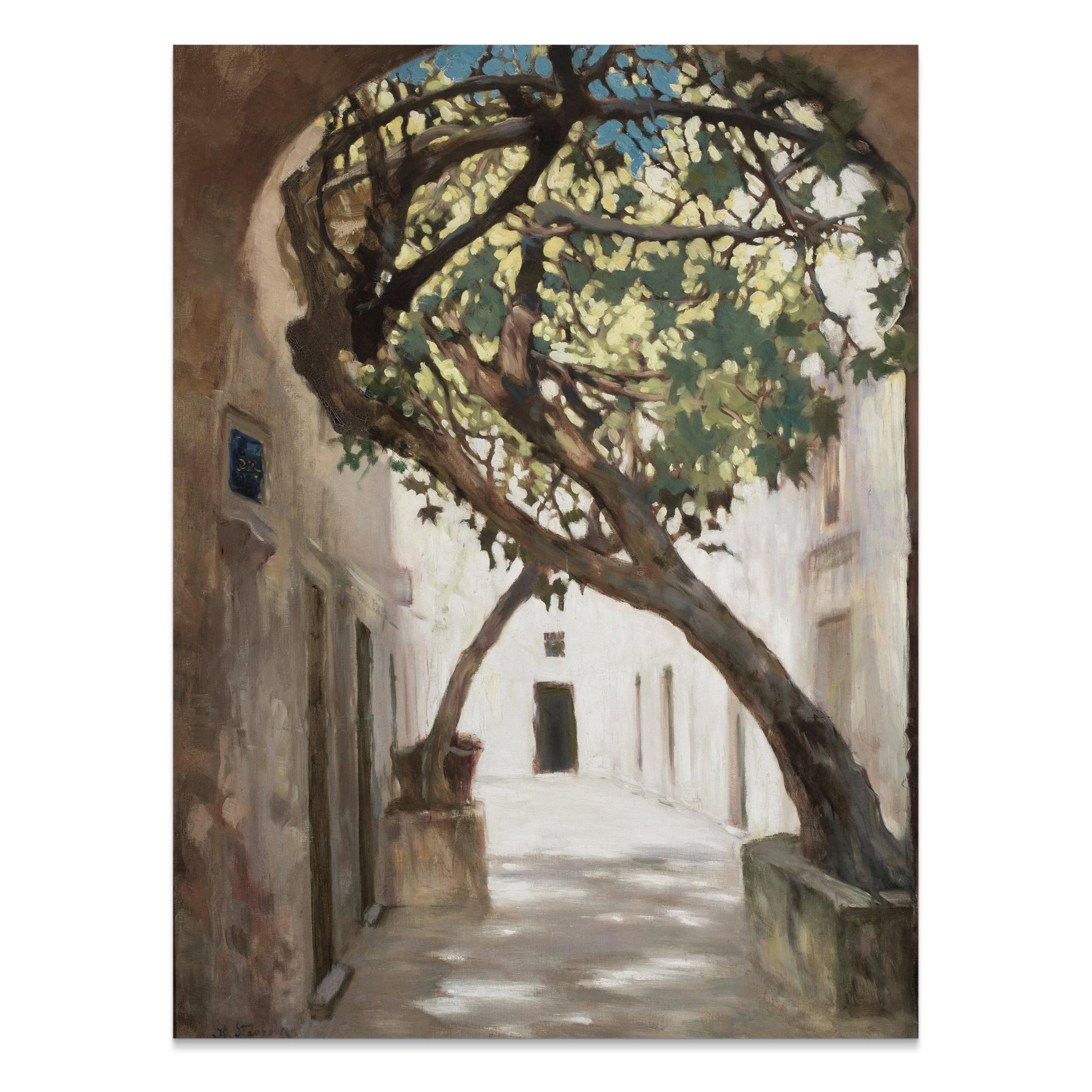 Premium Poster of Tranquil Sunlit Alleyway with Overhanging Tree Posters