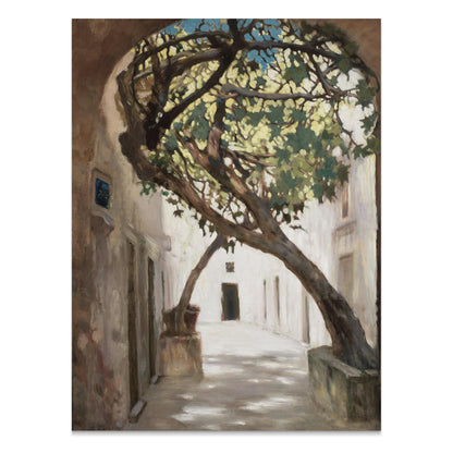 Premium Poster of Tranquil Sunlit Alleyway with Overhanging Tree Posters