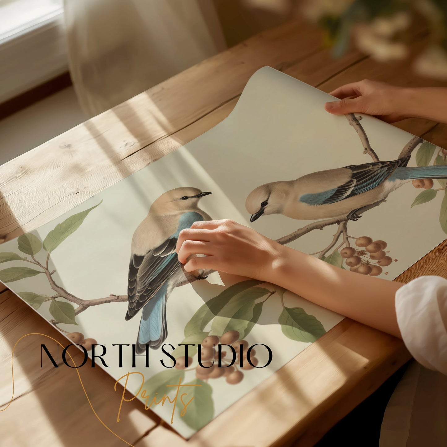 Premium Poster of Two Birds on Tree Branch Art Prints Wall Posters