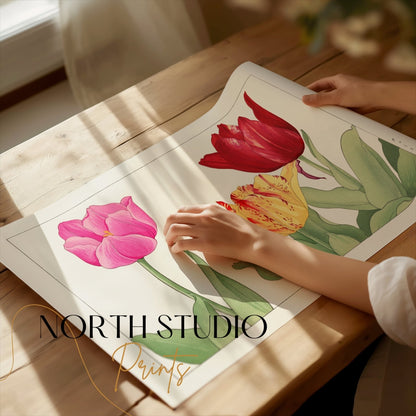 Premium Poster of Vibrant Botanical Print of Three Tulips Posters