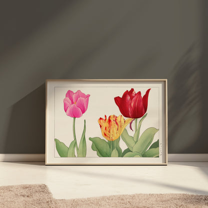 Premium Poster of Vibrant Botanical Print of Three Tulips Posters