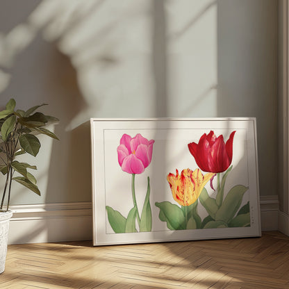 Premium Poster of Vibrant Botanical Print of Three Tulips Posters