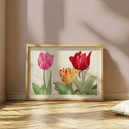 Premium Poster of Vibrant Botanical Print of Three Tulips Posters