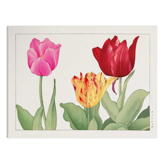 Premium Poster of Vibrant Botanical Print of Three Tulips Posters