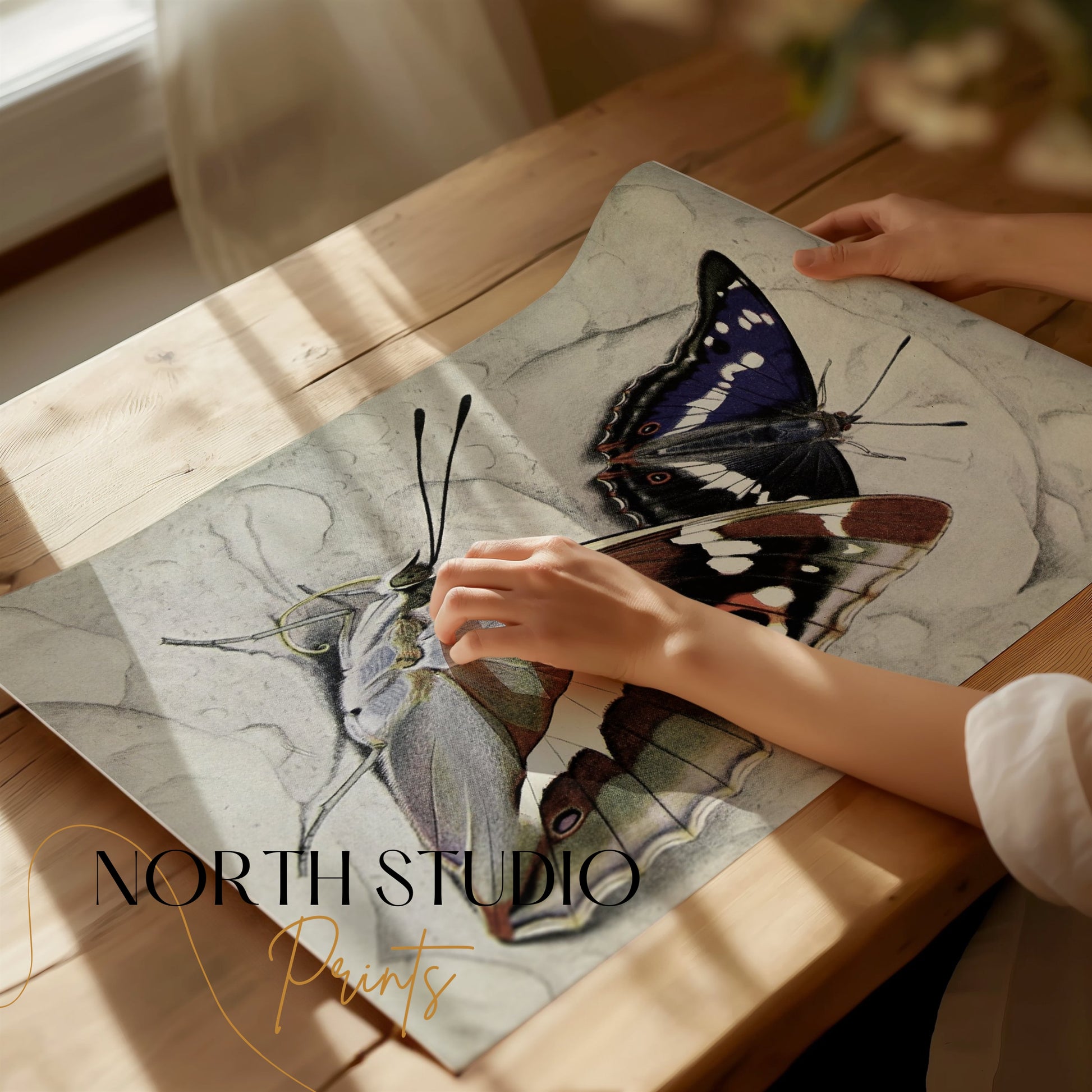 Premium Poster of Vibrant Butterfly Illustration Wall Art Decor Posters