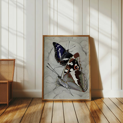 Premium Poster of Vibrant Butterfly Illustration Wall Art Decor Posters