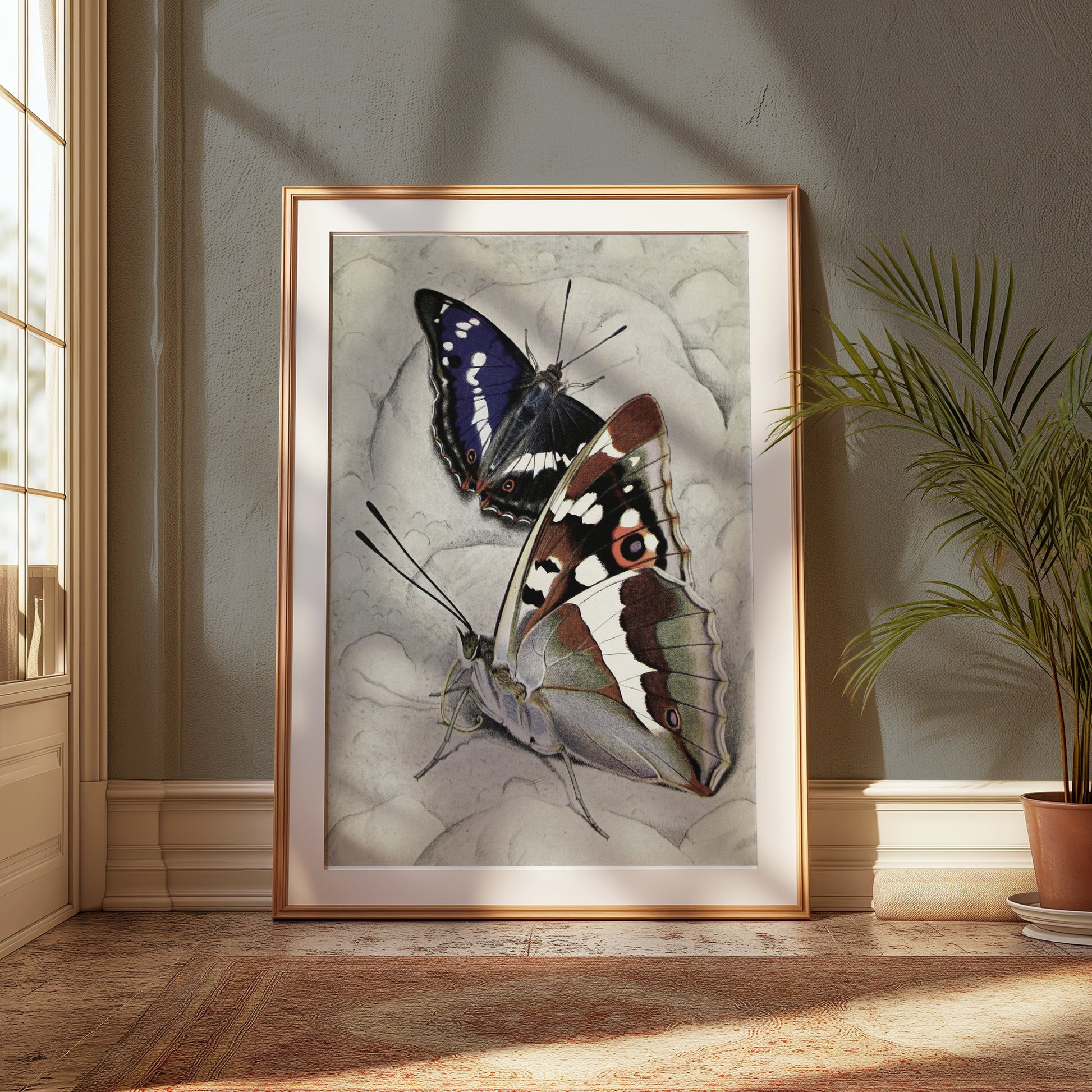 Premium Poster of Vibrant Butterfly Illustration Wall Art Decor Posters