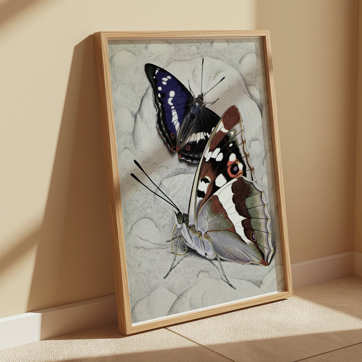 Premium Poster of Vibrant Butterfly Illustration Wall Art Decor Posters