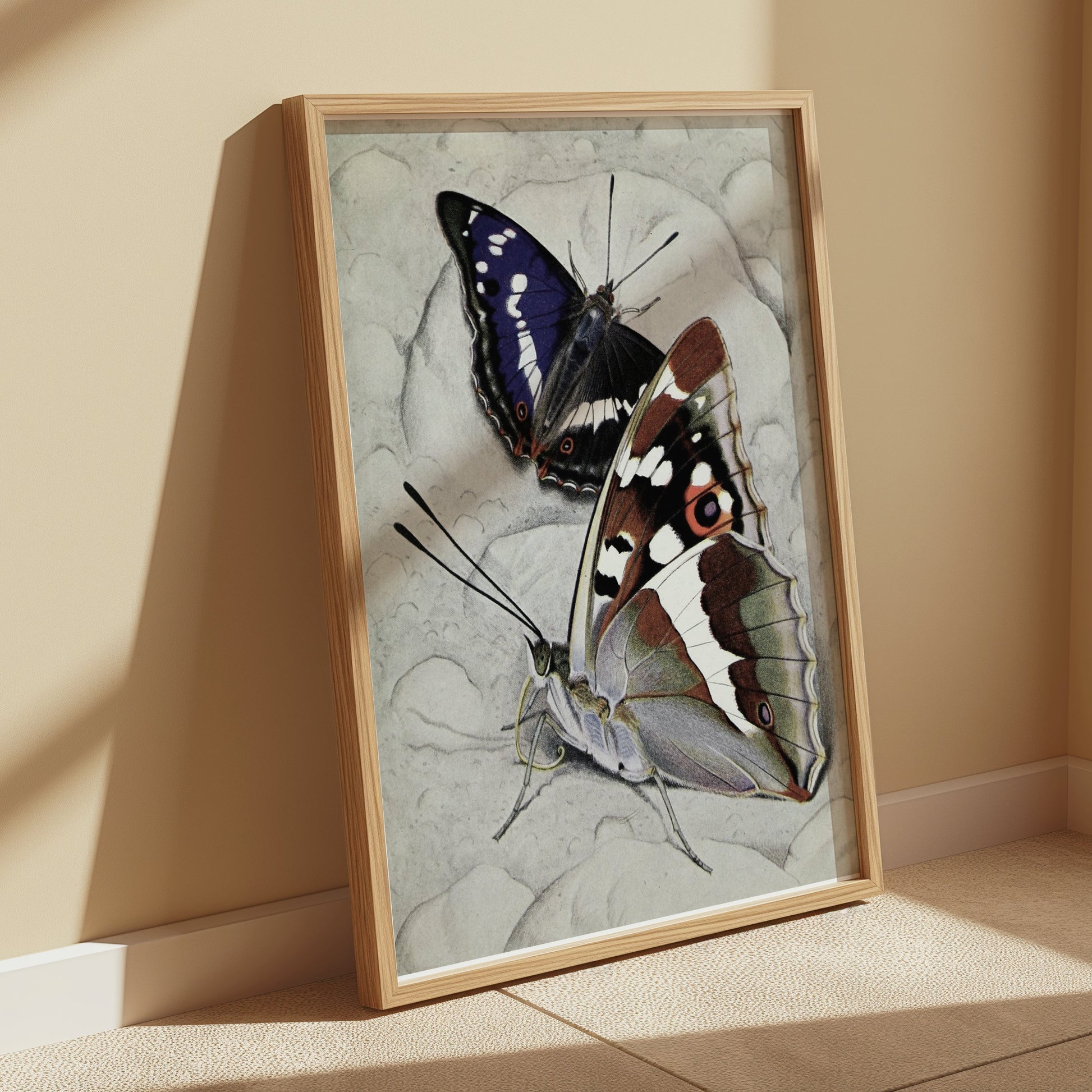 Premium Poster of Vibrant Butterfly Illustration Wall Art Decor Posters