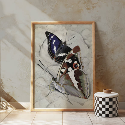 Premium Poster of Vibrant Butterfly Illustration Wall Art Decor Posters