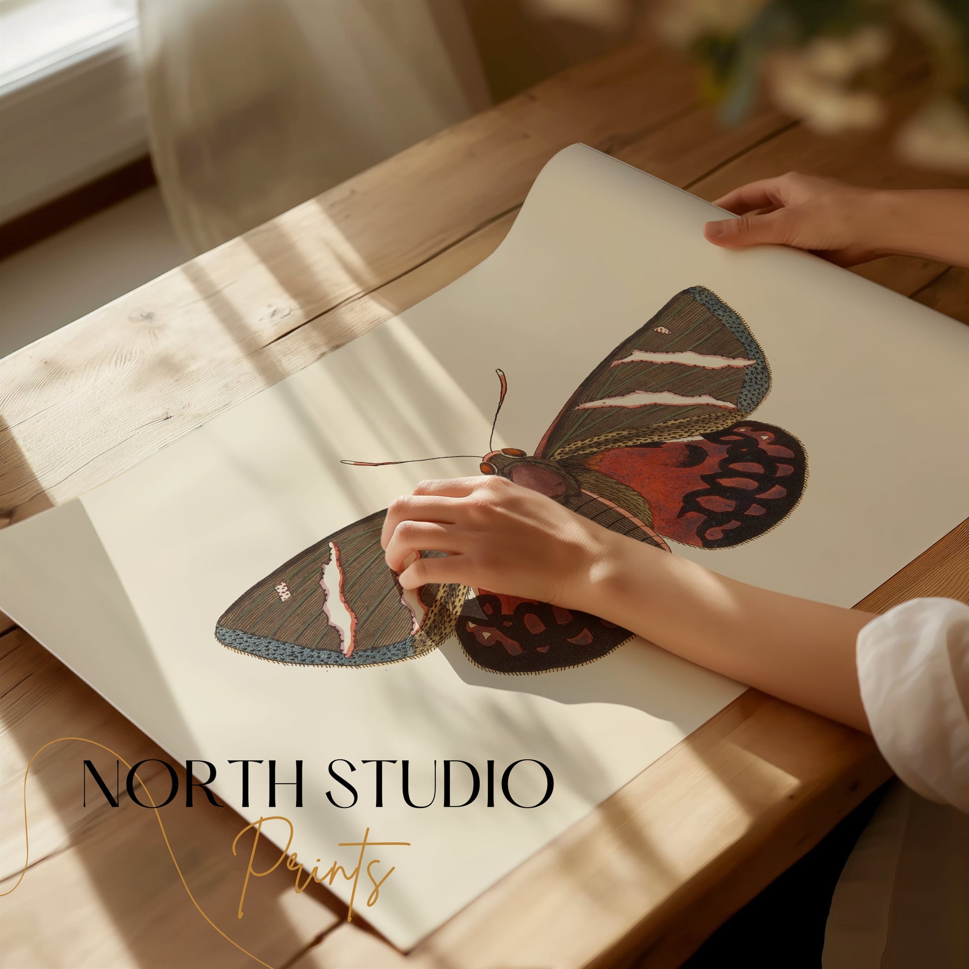 Premium Poster of Vibrant Colorful Butterfly Nature Wall Art Posters