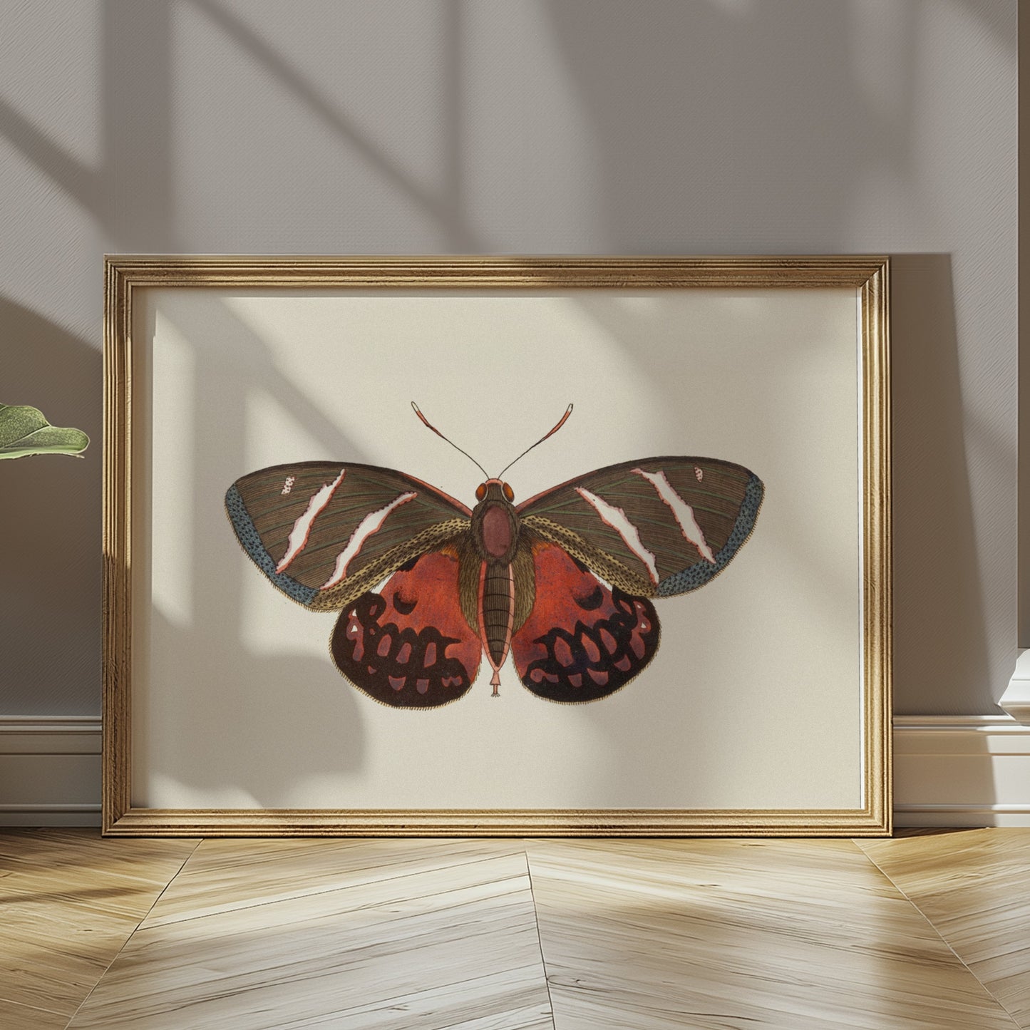 Premium Poster of Vibrant Colorful Butterfly Nature Wall Art Posters