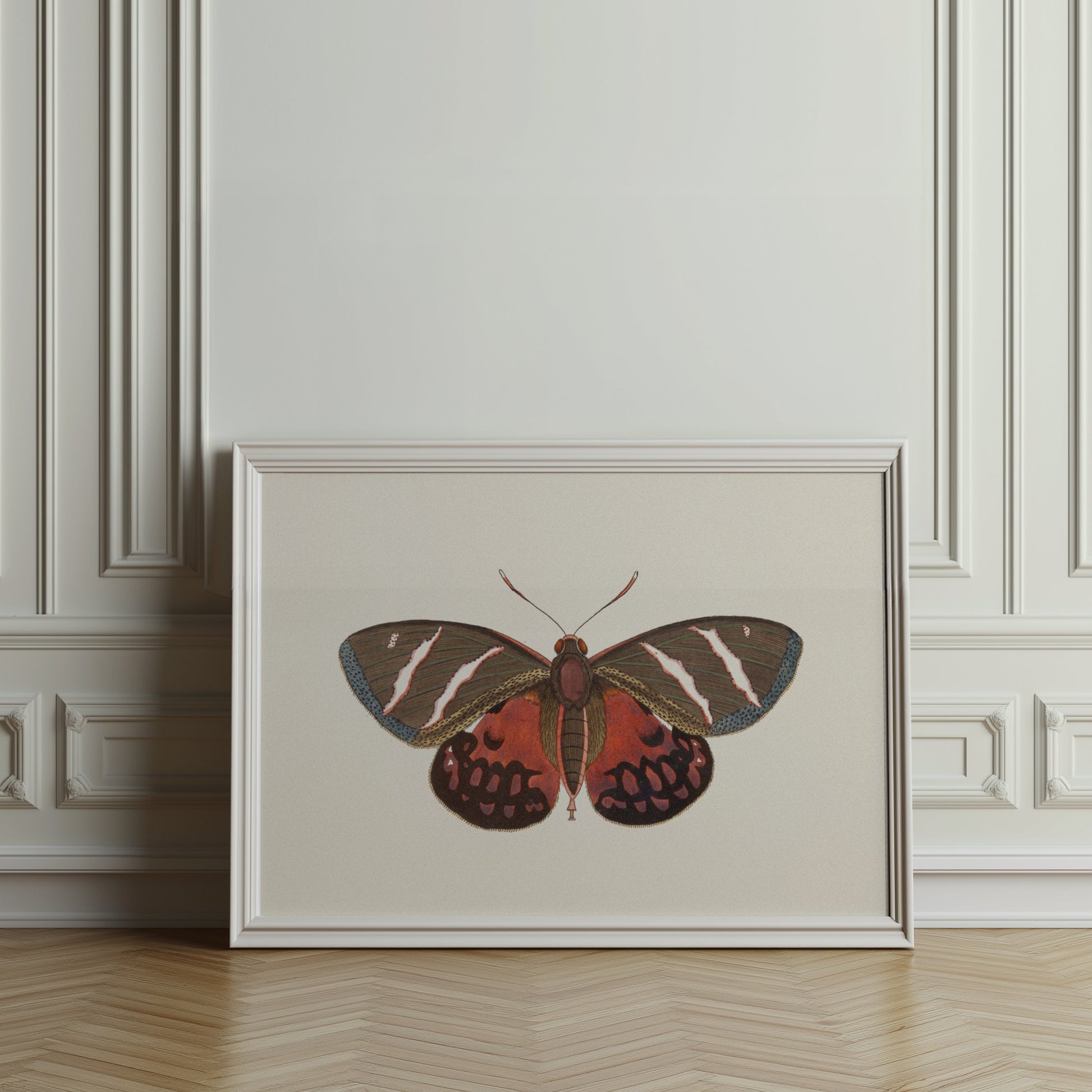Premium Poster of Vibrant Colorful Butterfly Nature Wall Art Posters