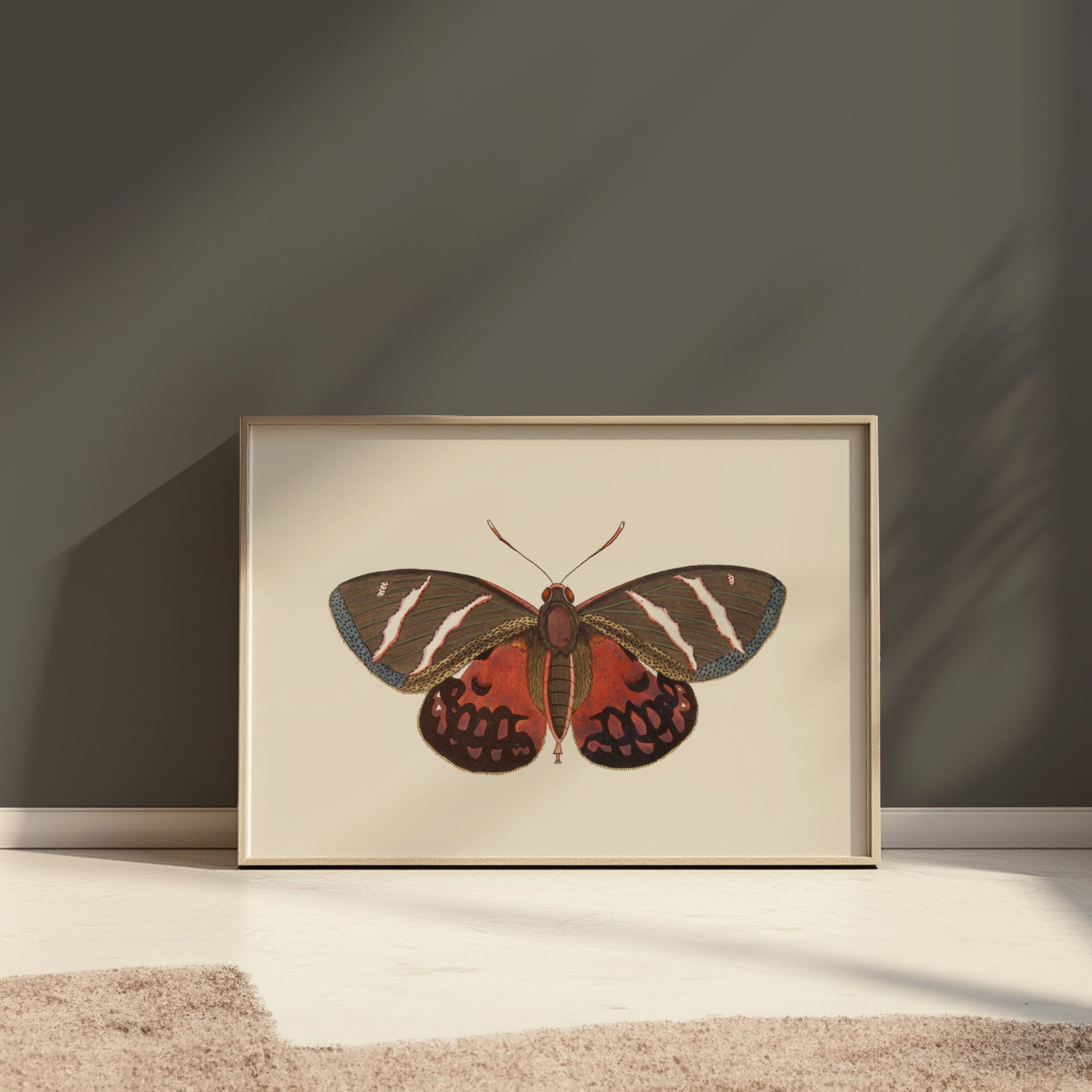 Premium Poster of Vibrant Colorful Butterfly Nature Wall Art Posters