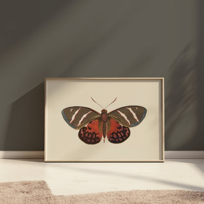 Premium Poster of Vibrant Colorful Butterfly Nature Wall Art Posters
