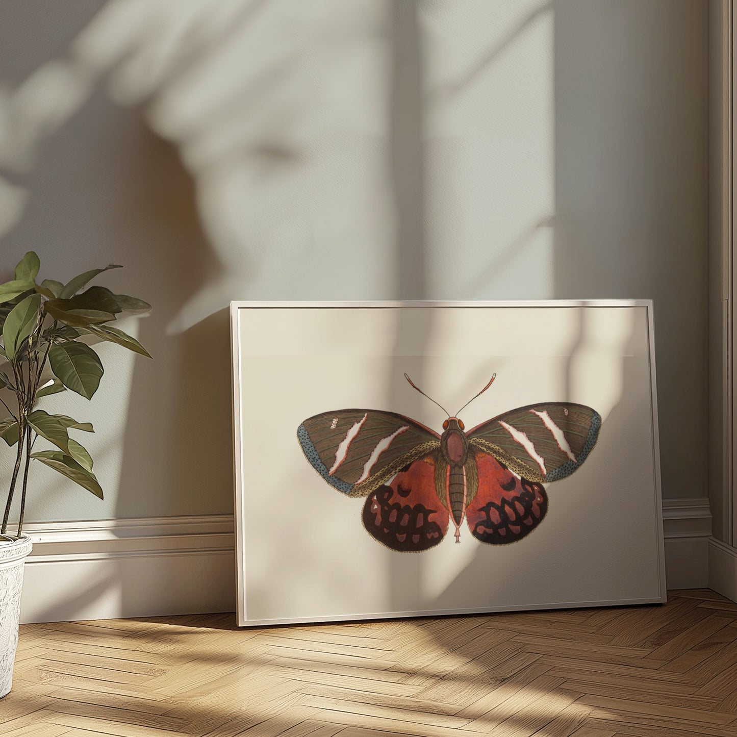Premium Poster of Vibrant Colorful Butterfly Nature Wall Art Posters