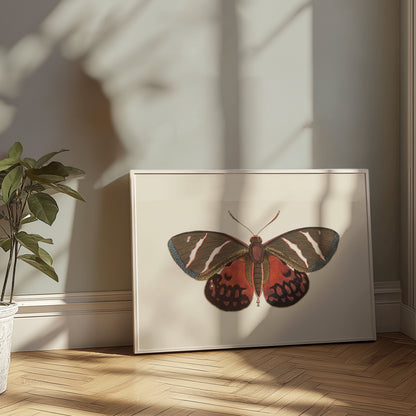 Premium Poster of Vibrant Colorful Butterfly Nature Wall Art Posters