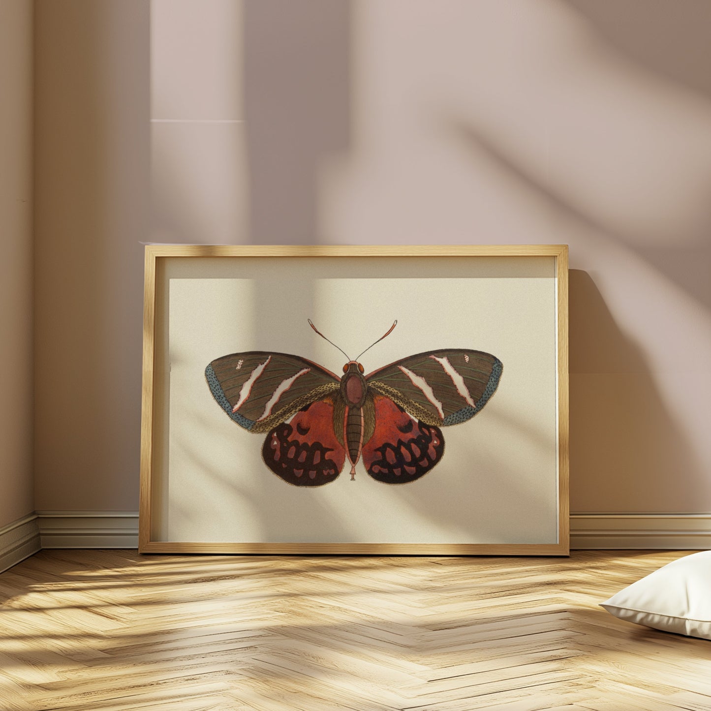 Premium Poster of Vibrant Colorful Butterfly Nature Wall Art Posters
