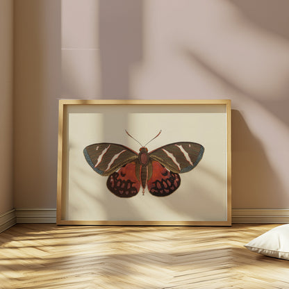 Premium Poster of Vibrant Colorful Butterfly Nature Wall Art Posters